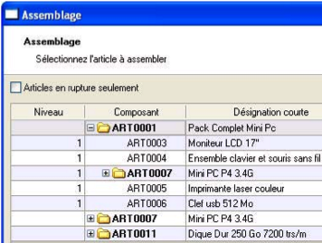 ciel gestion commerciale evolution -r: l'assemblage